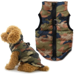Greyhound vest kassidele moro roheline riietus