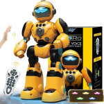 Interaktiivne raadio teel juhitav robot Remote Control Robot