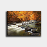 Reproduktsioon l&otilde;uendil S&uuml;gisene mets