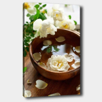 Pilt Roosi kroonlehed