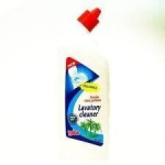 WC-poti puhastusgeel Yplon, 1 l