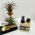 80 ml pihustuspudel, kaasaskantav karabiiniga konteiner matkamiseks.,  chaki 1