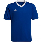 Laste T-s&auml;rk Adidas Entrada 22 Jsy HG3948, sinine