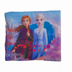 Laste soe r&otilde;ngassall Frozen