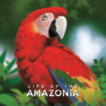 Strateegiline lauam&auml;ng Bad Comet Life of the Amazonia inglise keeles