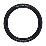 V&auml;ga hea Schwalbe Racing Ralph 29x2,10 Hs490 Evo Super Ground Tubeless Addix Speed rehvi.