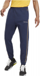 Spordip&uuml;ksid meestele Reebok Te Piping Jogger Blue GT5798, sinine