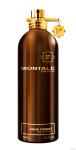 MONTALE Aoud Forest EDP unisex 100 ml