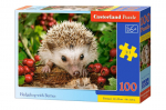 Pusle 100 Hedgehog With Berries 111145
