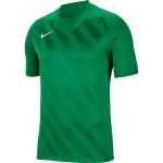 Poiste spordis&auml;rk Nike Dri Fit Challange 3 Y Jr BV6738 302, roheline