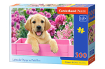 Pusle Castorland Labrador Puppy in pink Box, 300 tk.