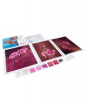 Tikkimiskomplekt MiniArt Crafts Pink Orchids triptych
