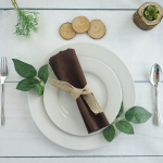 Riidest salvr&auml;tikud pruunid 40x40 (10 tk)