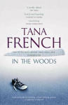 In the Woods: A stunningly accomplished psychological mystery which will take you on a thrilling journey through a tangled web of evil and beyond - to the inexplicable