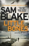 Little Bones: A disturbing Irish crime thriller