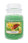 L&otilde;hnak&uuml;&uuml;nal Yankee Candle Beautiful Day 623 g