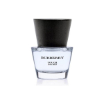 Tualettvesi Burberry Touch for Men EDT meestele 30 ml