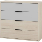 RYGA 06 4-sahtliga kummut &ndash; Riva 3D tamm / helehall