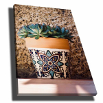 Reproduktsioon Sukulendid potis