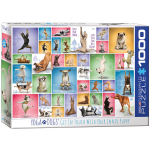 Pusle Eurographics, 6000-0954, Yoga Dogs, 1000 tk
