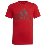Poiste T-s&auml;rk Adidas B BL T Jr HE9280, 140 cm