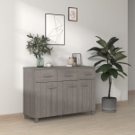 vidaXL puhvetkapp, helehall, 113 x 40 x 80 cm, toekas m&auml;nnipuit, Pilka