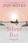 Silver Bay: 'Surprising and genuinely moving' - The Times