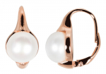H&otilde;bedased k&otilde;rvar&otilde;ngad naistele JwL Luxury Pearls JL0533 sJL0533