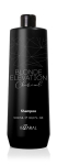 S&ouml;ega &scaron;ampoon oranžide/punaste toonide neutraliseerimiseks pleegitatud juustele Charcoal, 1000 ml