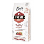 Brit Fresh Beef & Pumpkin Puppy Large Bones & Joints koeratoit 12 kg