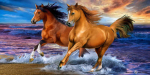 Horses Seaside Rannar&auml;tik, 70x140 cm