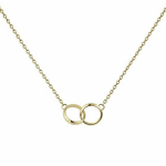 Kaelakee naistele Daniel Wellington DW00400353, 45