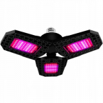 LED Fito lamp taimed ja seemikud