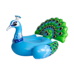 T&auml;ispuhutav ujumisr&otilde;ngas