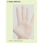 Moskitiera na okno dachowe 140x170 biała poliester+taśma rzep