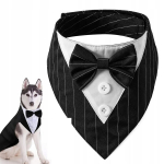 MUCHA DOG CAT GUARDIAN universaalne Velcro ELEGANCY SUIT suurus M, MUCHA DOG CAT GUARDIAN Universal Velcro ELEGANCY SUIT dydis M