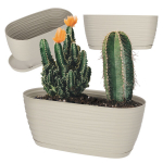 Lillepoti kate koos alusega Lillepott 27cm