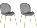 2 tooli komplekt Notio Living Ronja, hall/kuldne