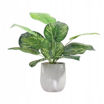 KUNSTILISED TAIMED REALISTILISES TEINES 37cm CALATEA KODUKORRALDUSELE