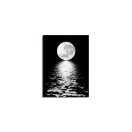 Reproduktsioon T&auml;iskuu