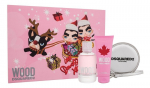 Komplekt naistele Dsquared2 Wood: tualettvesi EDT, 100 ml + du&scaron;igeel, 100 ml + rahakott