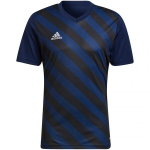 Meeste T-s&auml;rk Adidas Entrada 22 Graphic Jersey M HF0131, sinine
