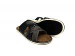 Wrangleri kingad _ sussid _ Padstow _ mustad