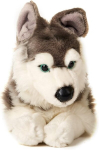 Palus koer "husky" 40 cm, hall