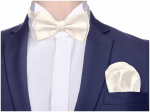 Žakardlipsuke + taskur&auml;tik meestele Microfiber Ecru Greg e19