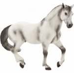 Mojo - Andalusian Stallion Grey