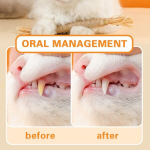 Qomjufa Kasside n&auml;rimism&auml;nguasi 2 hammaste tuleku k&ouml;iega kassidele ja 4 kassim&uuml;ndi pulgaga, kasside n&auml;rimispuidust pulgad, interaktiivne hammaste tuleku k&ouml;is, kasside n&auml;rimispulgad kassidele, hambaravi, loomulikult ohutu