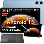 Tahvelarvuti Oscal Pad 100 12" Android 15 2.4G+5G Wifi RAM 36GB ROM 256GB/SD 2TB 9000mAh 16MP+8MP Sinine + K1