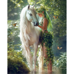 Numbritega maalimise komplekt 40x50 cm, M&uuml;stiline Allianss, varvikas, MG2516e