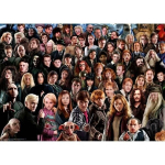 Pusle - RAVENSBURGER - Harry Potter - 1000 t&uuml;kki - 70x50 cm - T&auml;iskasvanutele